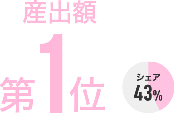 産出額第1位